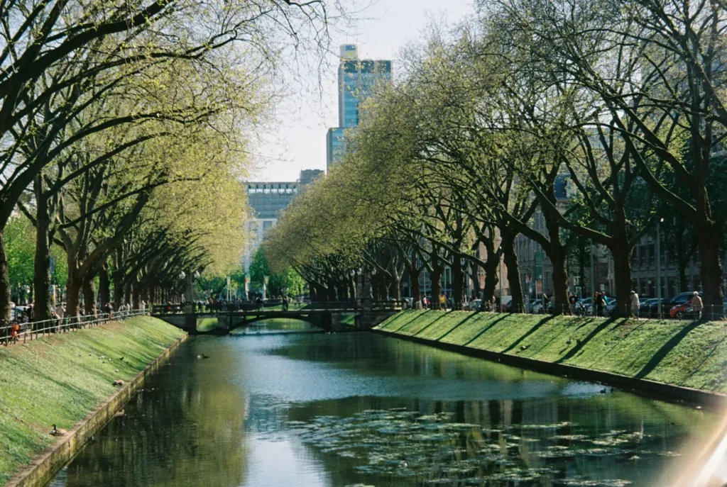 Referenzen von ML Facility: baumgesäumter Kö-Graben in Düsseldorf